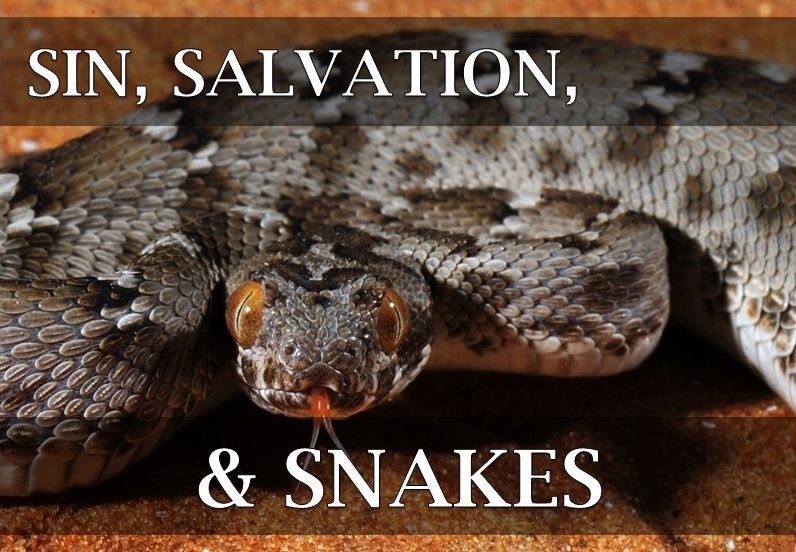 Sin, Salvation, & Snakes
