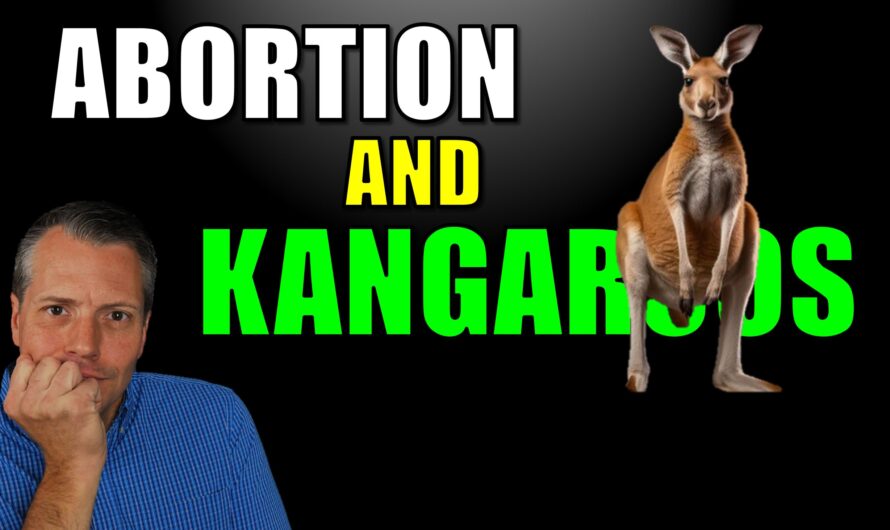 Abortion and Kangaroos (How to really end abortion)